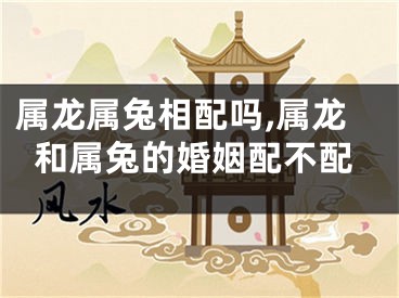 属龙属兔相配吗,属龙和属兔的婚姻配不配