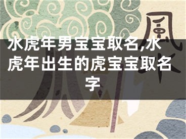 水虎年男宝宝取名,水虎年出生的虎宝宝取名字