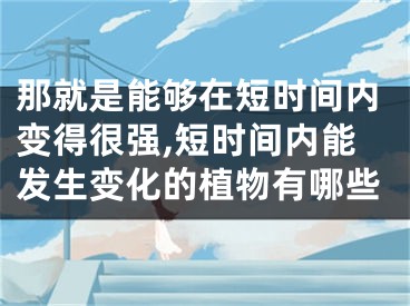 那就是能够在短时间内变得很强,短时间内能发生变化的植物有哪些