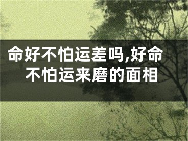 命好不怕运差吗,好命不怕运来磨的面相