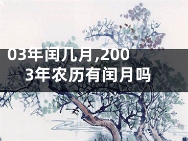 03年闰几月,2003年农历有闰月吗