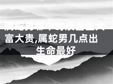 属蛇男哪个时辰出生大富大贵,属蛇男几点出生命最好