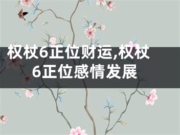 权杖6正位财运,权杖6正位感情发展