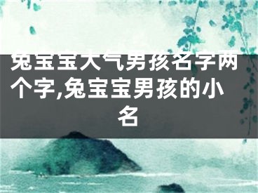 兔宝宝大气男孩名字两个字,兔宝宝男孩的小名