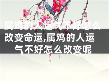 属鸡的人运气不好怎么改变命运,属鸡的人运气不好怎么改变呢