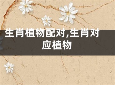 生肖植物配对,生肖对应植物