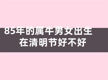 85年的属牛男女出生在清明节好不好