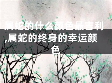 属蛇的什么颜色最吉利,属蛇的终身的幸运颜色