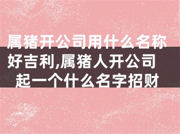 属猪开公司用什么名称好吉利,属猪人开公司起一个什么名字招财