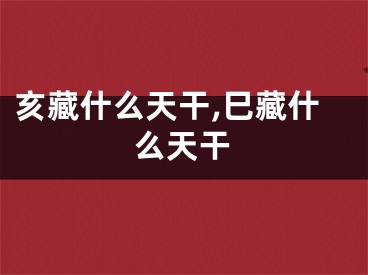 亥藏什么天干,巳藏什么天干