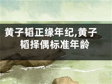 黄子韬正缘年纪,黄子韬择偶标准年龄