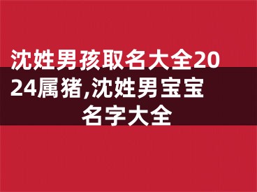 沈姓男孩取名大全2024属猪,沈姓男宝宝名字大全