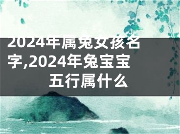 2024年属兔女孩名字,2024年兔宝宝五行属什么