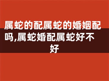 属蛇的配属蛇的婚姻配吗,属蛇婚配属蛇好不好