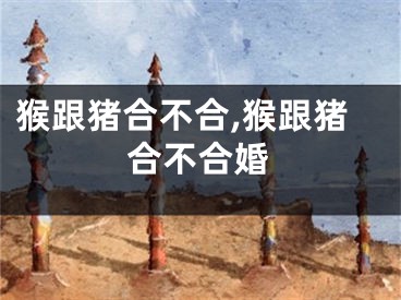 猴跟猪合不合,猴跟猪合不合婚