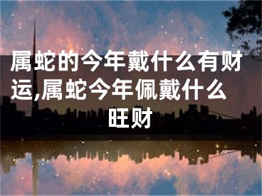 属蛇的今年戴什么有财运,属蛇今年佩戴什么旺财