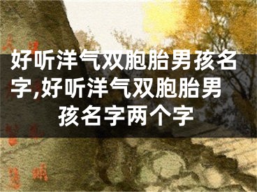 好听洋气双胞胎男孩名字,好听洋气双胞胎男孩名字两个字