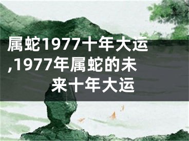 属蛇1977十年大运,1977年属蛇的未来十年大运