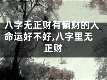 八字无正财有偏财的人命运好不好,八字里无正财