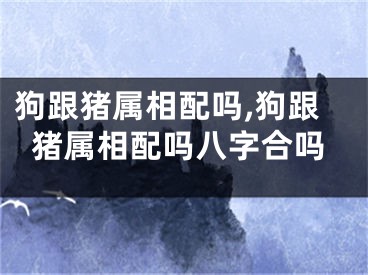 狗跟猪属相配吗,狗跟猪属相配吗八字合吗