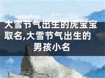 大雪节气出生的虎宝宝取名,大雪节气出生的男孩小名