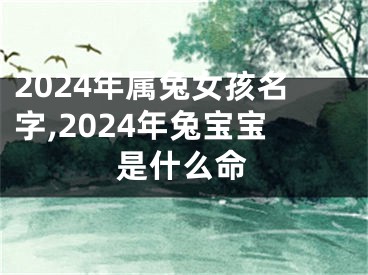 2024年属兔女孩名字,2024年兔宝宝是什么命