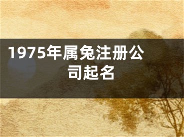 1975年属兔注册公司起名