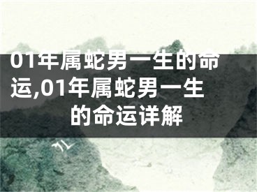 01年属蛇男一生的命运,01年属蛇男一生的命运详解