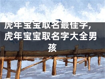 虎年宝宝取名最佳字,虎年宝宝取名字大全男孩