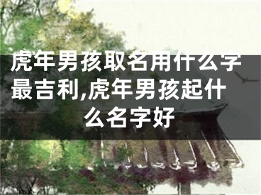 虎年男孩取名用什么字最吉利,虎年男孩起什么名字好