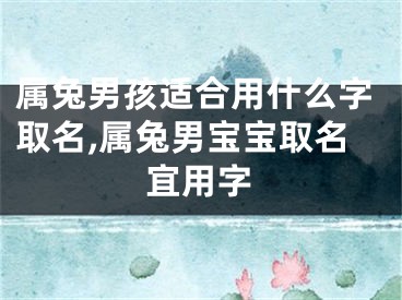 属兔男孩适合用什么字取名,属兔男宝宝取名宜用字