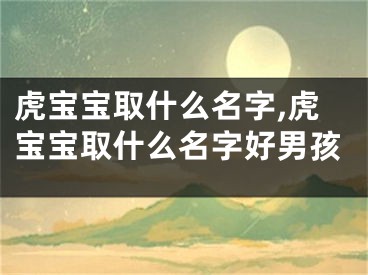 虎宝宝取什么名字,虎宝宝取什么名字好男孩