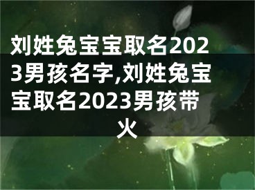 刘姓兔宝宝取名2023男孩名字,刘姓兔宝宝取名2023男孩带火