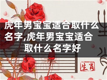 虎年男宝宝适合取什么名字,虎年男宝宝适合取什么名字好