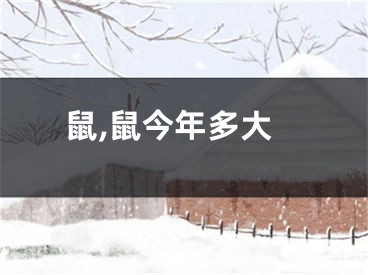 鼠,鼠今年多大