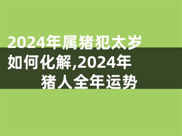 2024年属猪犯太岁如何化解,2024年猪人全年运势