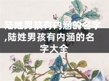 陆姓男孩有内涵的名字,陆姓男孩有内涵的名字大全