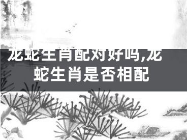 龙蛇生肖配对好吗,龙蛇生肖是否相配