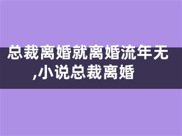 总裁离婚就离婚流年无,小说总裁离婚