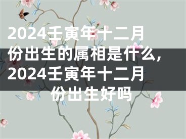 2024壬寅年十二月份出生的属相是什么,2024壬寅年十二月份出生好吗