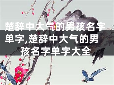 楚辞中大气的男孩名字单字,楚辞中大气的男孩名字单字大全