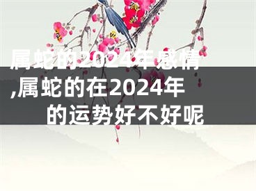 属蛇的2024年感情,属蛇的在2024年的运势好不好呢