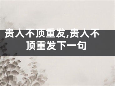 贵人不顶重发,贵人不顶重发下一句