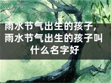 雨水节气出生的孩子,雨水节气出生的孩子叫什么名字好