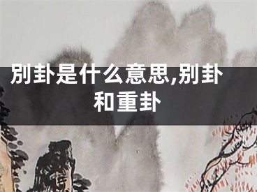 別卦是什么意思,别卦和重卦