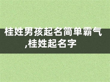 桂姓男孩起名简单霸气,桂姓起名字