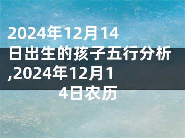 2024年12月14日出生的孩子五行分析,2024年12月14日农历