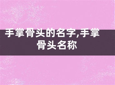 手掌骨头的名字,手掌骨头名称