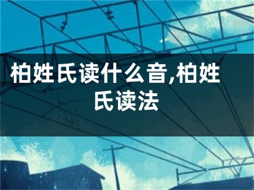 柏姓氏读什么音,柏姓氏读法
