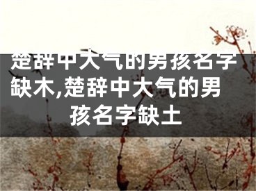楚辞中大气的男孩名字缺木,楚辞中大气的男孩名字缺土